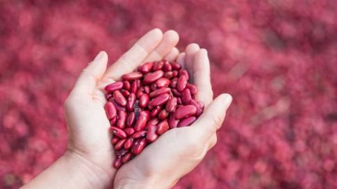 Captura de Pantalla 2025-09-14 a la(s) 7.48.07 p. m.