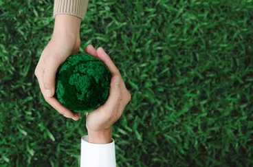 Captura de Pantalla 2025-09-14 a la(s) 8.05.39 p. m.